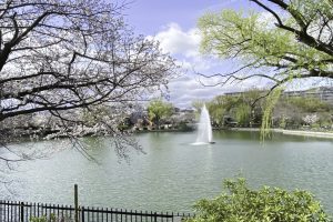 水月公園
